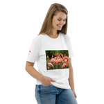 Flamingo Unisex organic cotton t-shirt